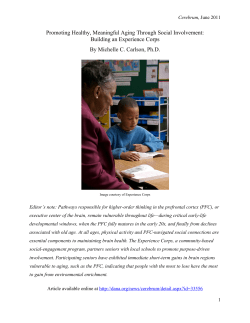 Building an Experience Corps By Michelle C. Carlson, Ph.D.