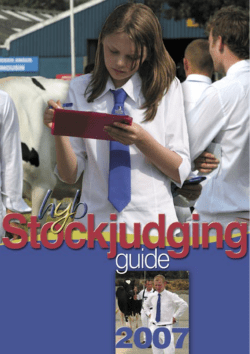 Stockjudging Guide