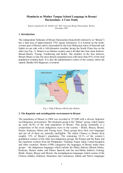 Mandarin as Mother Tongue School Language in Brunei