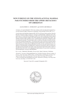 new evidence on the stem placental mammal paranyctoides from