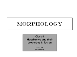 MORPHOLOGY