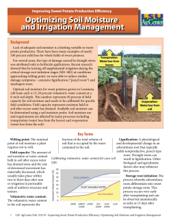 Optimizing Soil Moisture and Irrigation Management