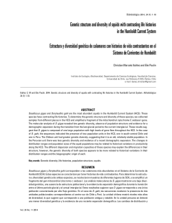 Genetic structure and diversity of squids with contrasting life