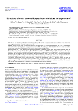 Structure of solar coronal loops: from miniature to large