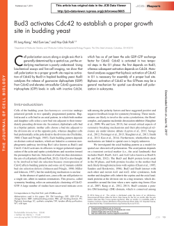Bud3 activates Cdc42 to establish a proper growth site in budding