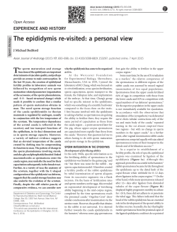 The epididymis re-visited: a personal view