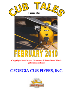 georgia cub flyers, inc.