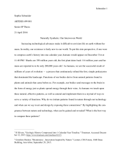 Schneider 1 Sophie Schneider ARTDES 499 001