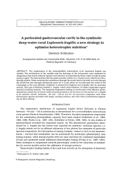 PDF - Helgoland Marine Research