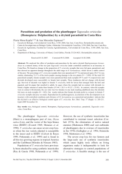 Parasitism and predation of the planthopper Tagosodes orizicolus