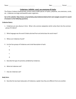 Cnidarians - Ms. Murray`s Biology