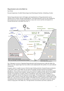 1 Biogeochemical cycles in the Baltic Sea Kari Eilola
