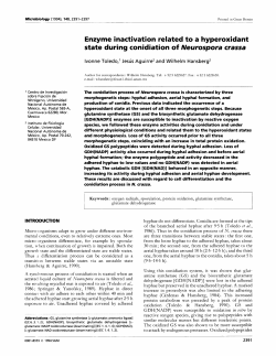 Enzyme inactivation related to a hyperoxidant state