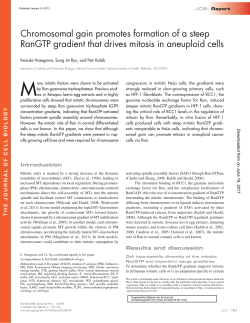 Chromosomal gain promotes formation of a steep RanGTP gradient