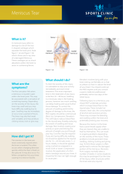 Meniscus Tear - Sports Clinic NQ