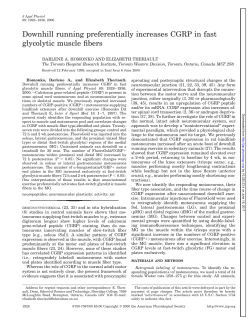 Downhill running preferentially increases CGRP in fast glycolytic