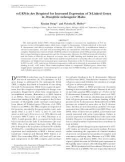 roX RNAs Are Required for Increased Expression of X