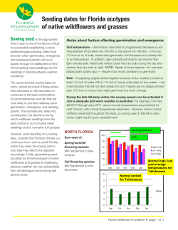 Seeding dates for Florida ecotypes of native wildflowers and grasses