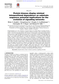 Protein kinases display minimal interpositional dependence on