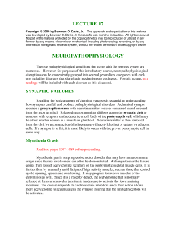 lecture 17 neuropathophysiology