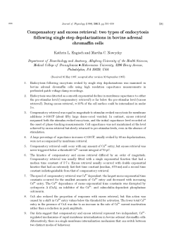 Compensatory and excess retrieval: two types of endocytosis