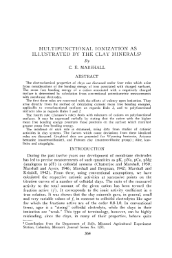 MULTIFUNCTIONAI, IONIZATION AS ILLUSTRATED BY THE CLAY