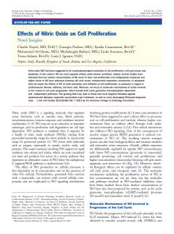 Effects of Nitric Oxide on Cell Proliferation
