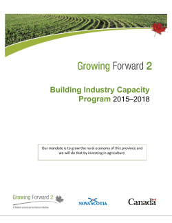Building Industry Capacity - Program Guidelines
