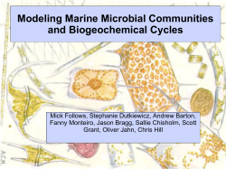 Modeling Marine Microbial Populations and Biogeochemical Cycles