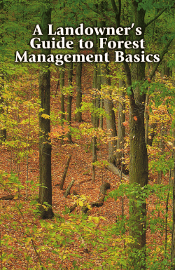 A Landowner`s Guide to Forest Management Basics