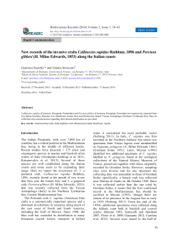 New records of the invasive crabs Callinectes sapidus Rathbun