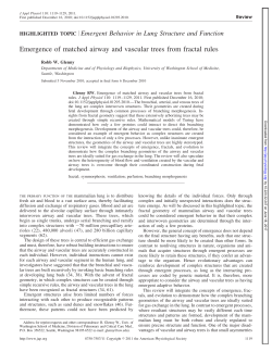 Emergence of matched airway and vascular trees from fractal rules