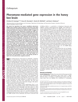 Pheromone Regulation of Brain Gene Expression