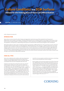 Stem Cell Differentiation Stem Cell Differentiation Culture