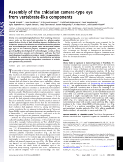 Assembly of the cnidarian camera-type eye from vertebrate