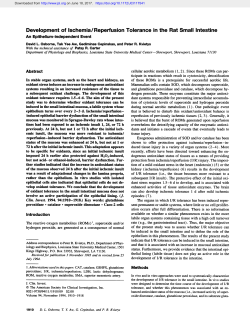 Development of Ischemia/Reperfusion Tolerance in the Rat Small