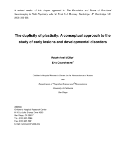 The duplicity of plasticity: A conceptual approach to the
