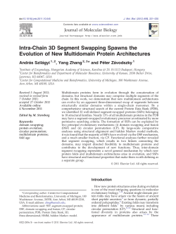 Intra-Chain 3D Segment Swapping Spawns the Evolution of New