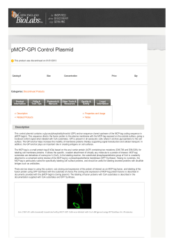 pMCP-GPI Control Plasmid | NEB