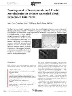 Development of Nanodomain and Fractal Morphologies in Solvent