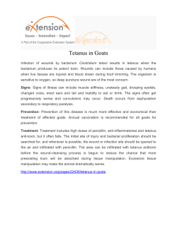 Tetanus in Goats