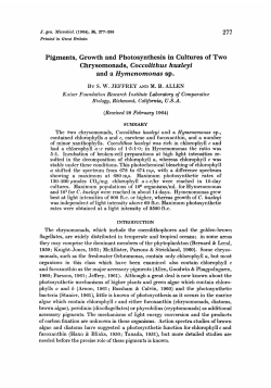 and a Hymenomonas sp.