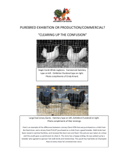 purebred exhibition or production/commercial?