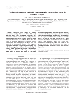 Cardiorespiratory and metabolic reactions during entrance into