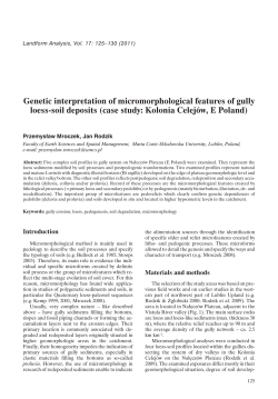 Genetic interpretation of micromorphological features of gully loess