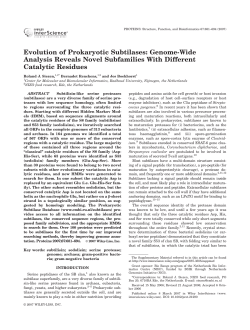 Evolution of prokaryotic subtilases