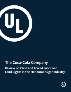 Review on Child and Forced Labor and Land Rights in the