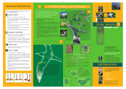 Bristol City Centre Nature Trail