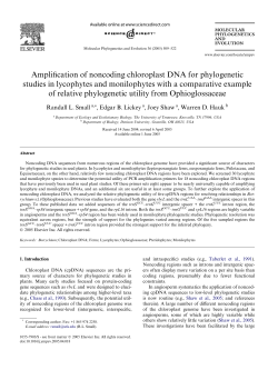 Amplification of noncoding chloroplast DNA for
