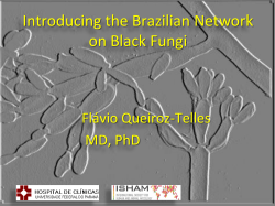 Slide sem t&iacute;tulo